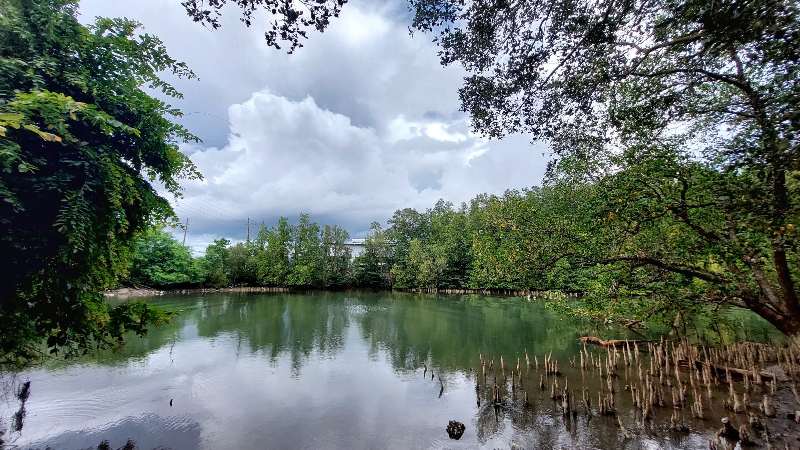 The 2026 Carbon-Neutral Getaway: Top Eco-Friendly Travel Destinations & Sustainable Tourism Tips
