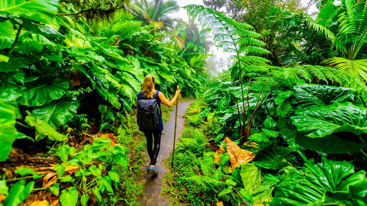 Best Eco-Friendly Travel Destinations for 2026