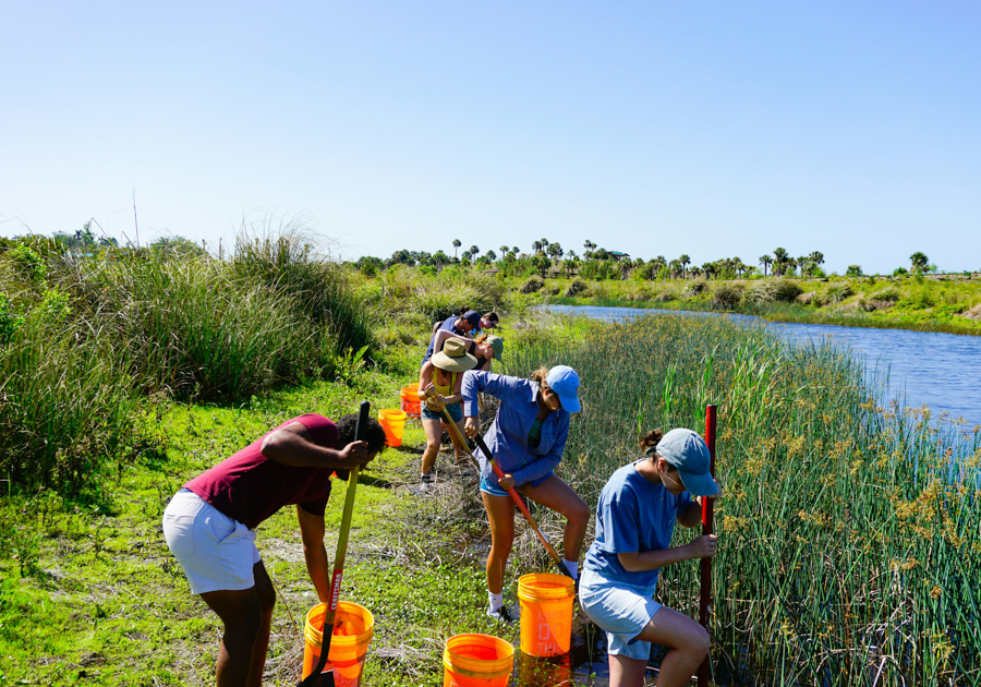 2026’s Top Regenerative Travel Destinations: How to Practice Eco-Friendly Travel and Choose Sustainable Tourism Tips for a Greener Year
