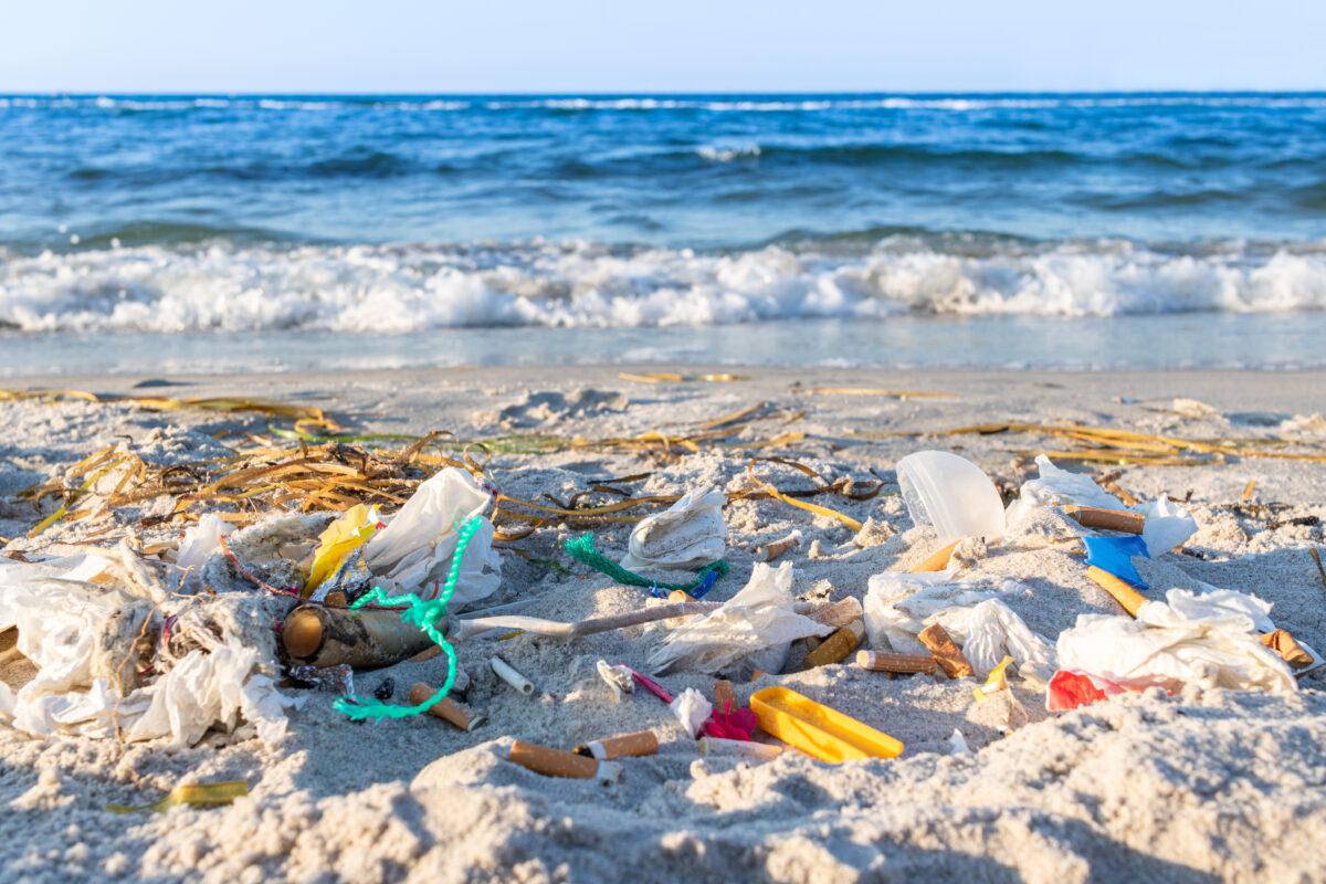 The to Zero-Waste Travel