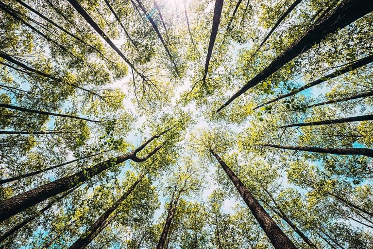 eco-friendly travel destinations