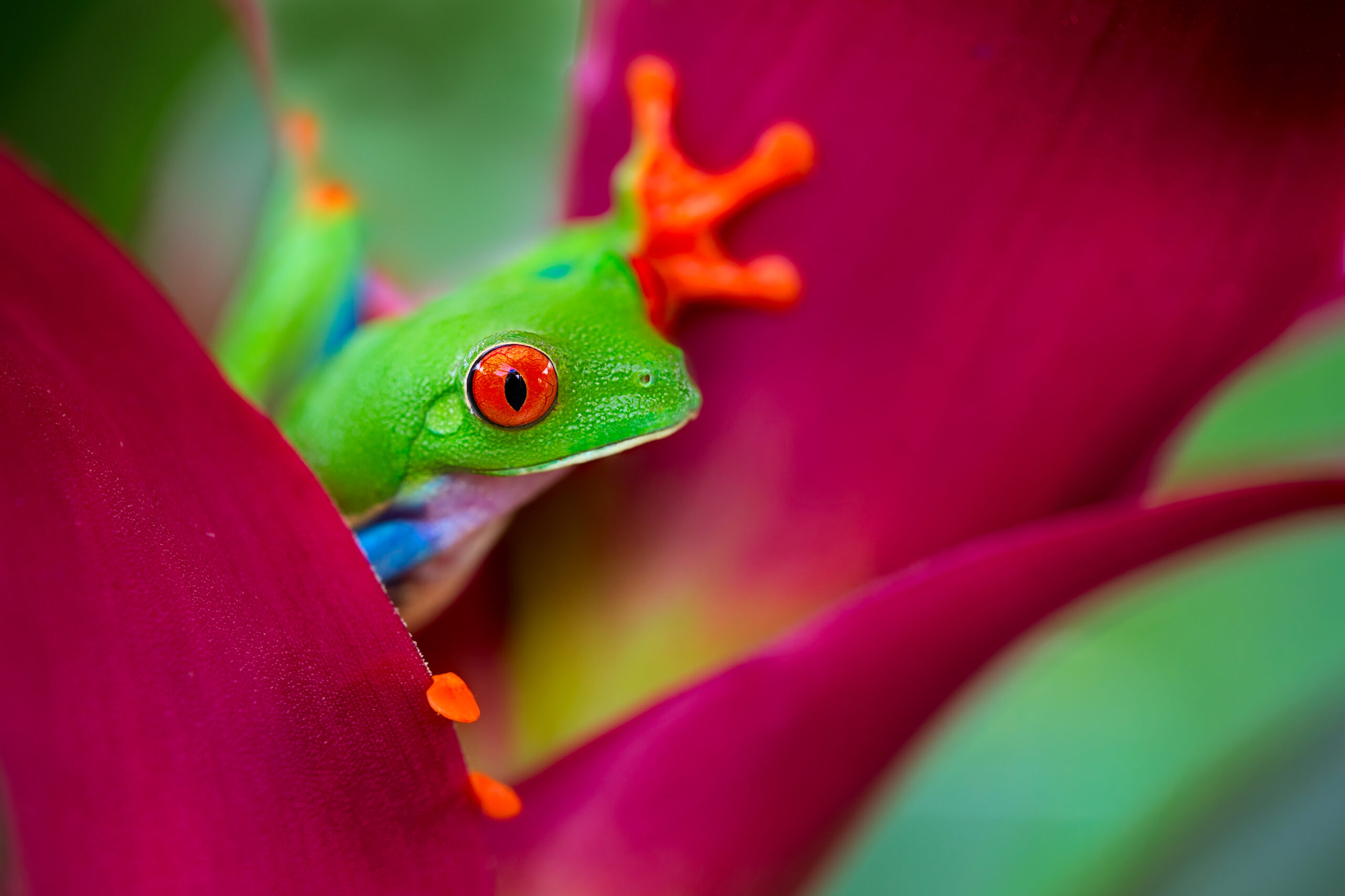 eco-friendly travel destinations