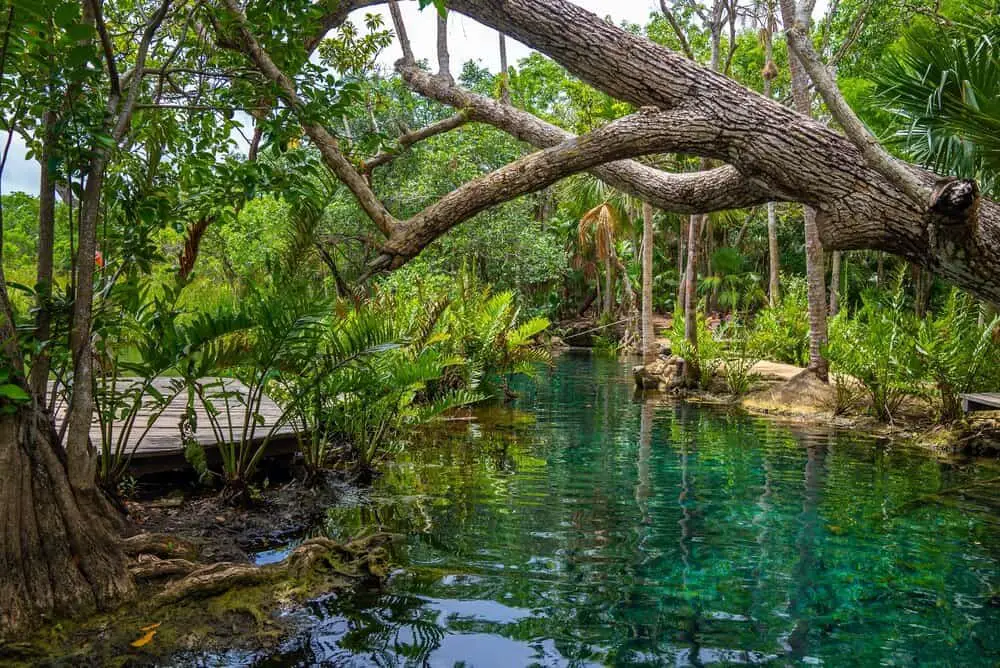 10 Eco-Friendly Travel Destinations for 2026: Green Travel Tips
