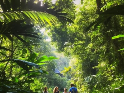 10 Must-Visit Eco-Friendly Travel Destinations for the Conscious Traveler