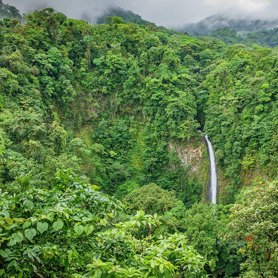 Pristine beaches and lush greenery in Costa Rica