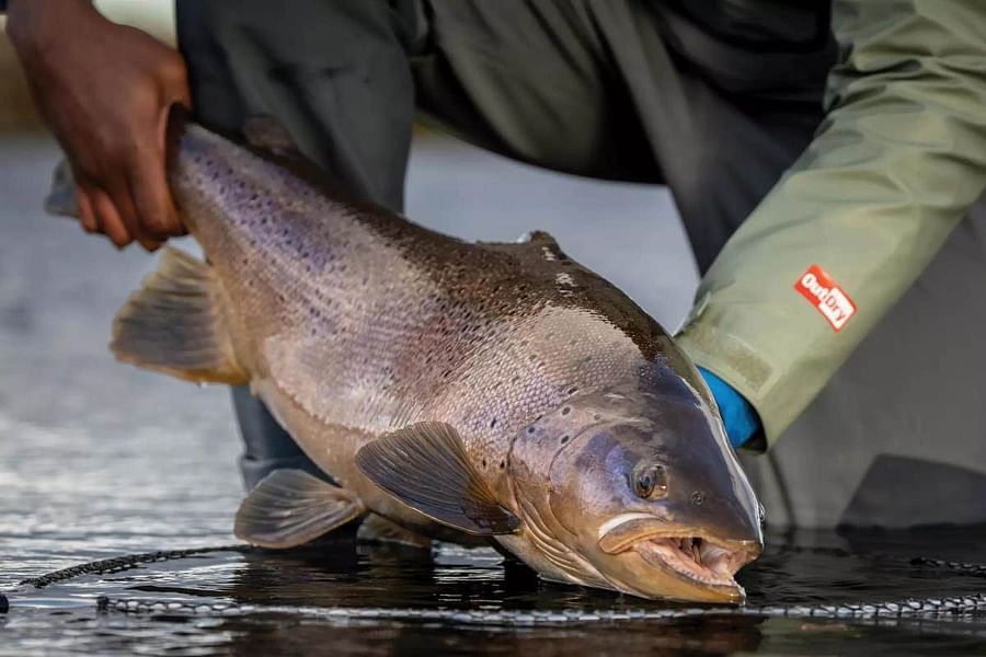 Catch and release fishing Patagonia