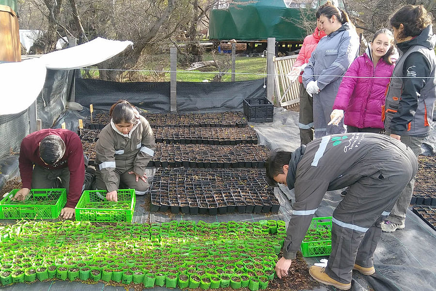 Conservation volunteering Patagonia