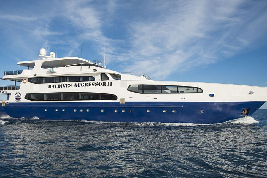 Aggressor Fleet diving