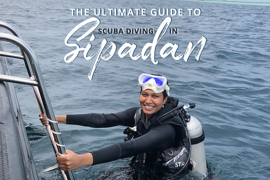 Scuba Junkie SEAS diving