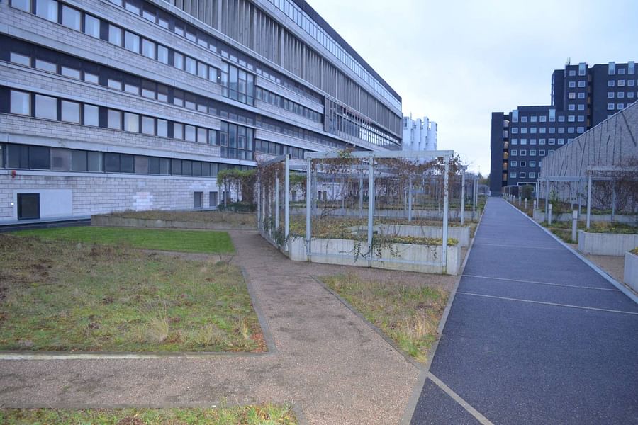 Utrecht Centraal Station green roof