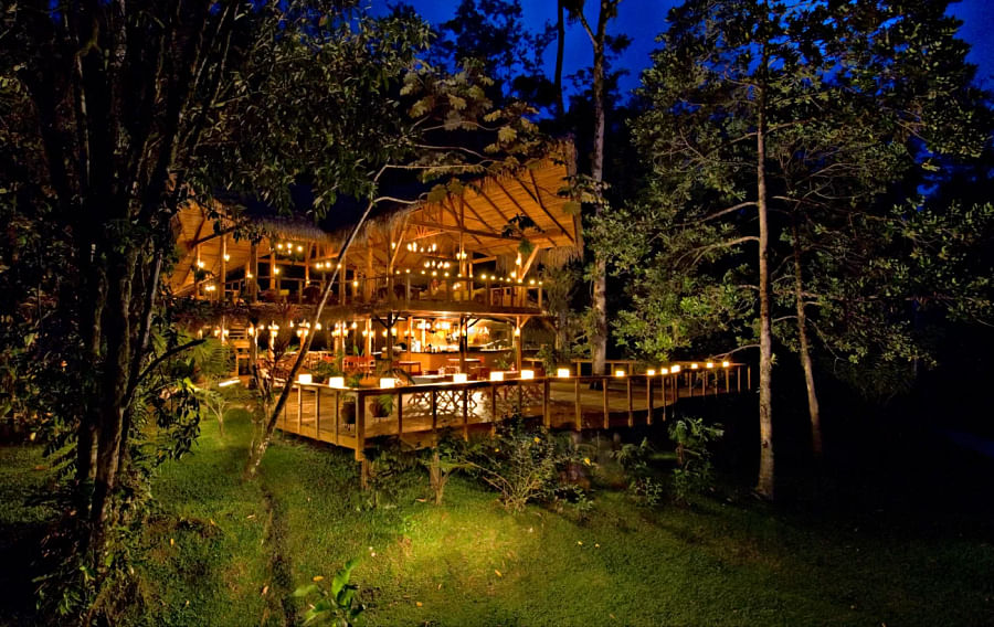 Exterior of an eco-lodge surrounded by nature
