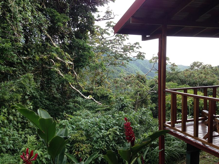 Sustainable practice in a Costa Rican eco lodge