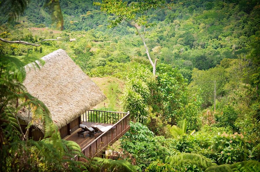 Rustic Eco Lodge surrounded by lush Costa Rican rainforest