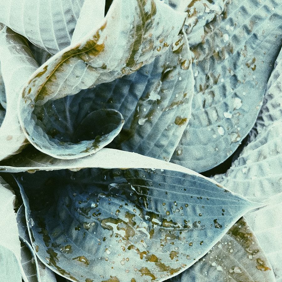 Inviting bedroom with jungle view in Costa Rican eco lodge