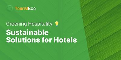 Sustainable Solutions for Hotels - Greening Hospitality 💡