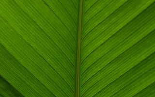 How can I reduce my environmental impact while traveling?